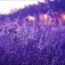 Lloyd Travis - @LloydTravis248 - Twitter