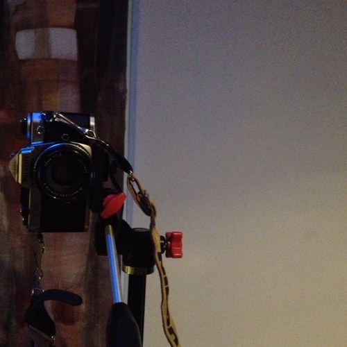 HoggCom's profile picture. 