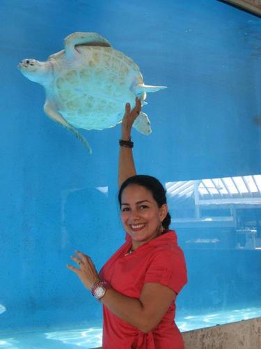 FernandoEstr's profile picture. 