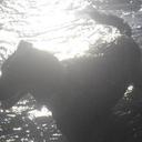 Camilla Wright - @seewrite90 - Twitter