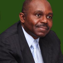Financial and Management Executive