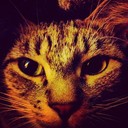 Brant Edward - @BrantEdward840 - Twitter