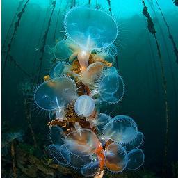 Love learning something new everyday.  Biology is magical! 
 #LaLigaMitica