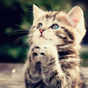 Hendry Tanadi - @hyd3nz - Twitter