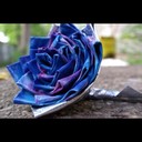 Blake Francis - @BlakeFrancis871 - Twitter