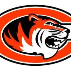 Pro Development football team