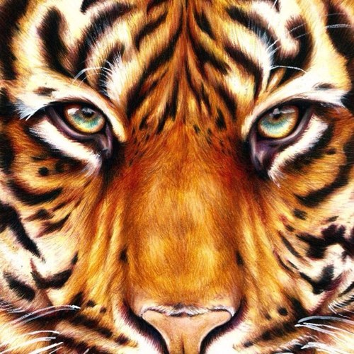 The house of Jesus
*eye of the tiger* Non-religious group spreading Erg awarness Erging is hell