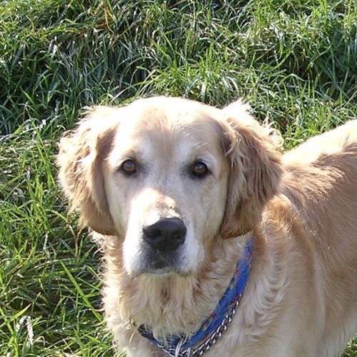 ingham_j's profile picture. 