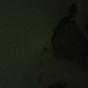jy (@05Julcar) Twitter