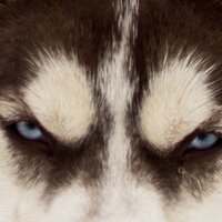 XACKO XACKUH (@m002yc) 's Twitter Profile