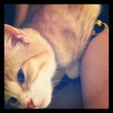 Everett Ryan - @EverettRyan624 - Twitter