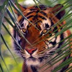 eduflor9es's profile picture. 