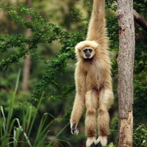 thehomeofsaints's profile picture. views not my own