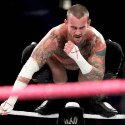 Hi I'm sam and you're not i'm 11 years old call me sammy or sam whatever you want :) ✌CM Punk is the BITW and aj ✌what about you ha my GF @JessicapunkBITW
