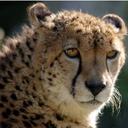 kelvin bennett - @celvin2009 - Twitter