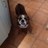 will_wallace1's profile image