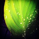 Wendell Noah - @WendellNoah997 - Twitter