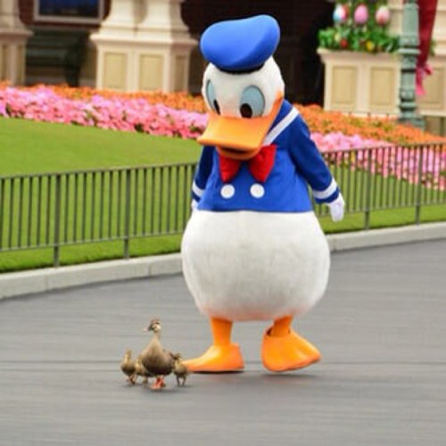 mr_ali888's profile picture. 