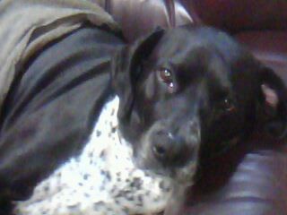 rodititi's profile picture. 