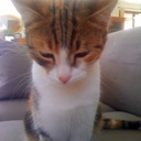 Daniel Mattioli - @DanielSpener - Twitter