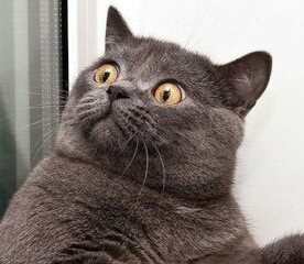 AMP2797's profile picture. 