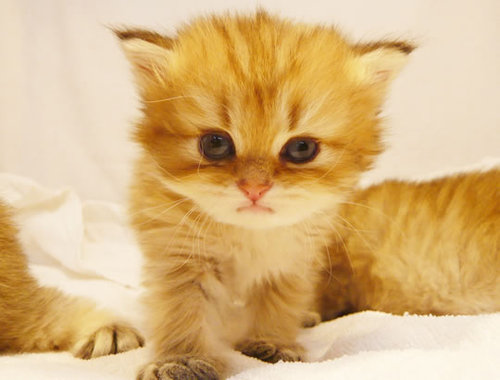 misisgtair's profile picture. いろんな世界を知ることはおもしろい！と、青春が過ぎた頃に気付き、今更ダッシュでいろいろ活動し始めてみる！バスケ、フリースタイルとか、ヨガとか、ライブとか、イベントとか、旅行とか、映画とか！！！(略)