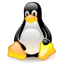 Passionné de technologies web (HTML5, CSS3, PHP, JQuery....) et de réseaux/systèmes (Debian, Samba,RedHat, Windows Server, Samba, Active Directory.... )