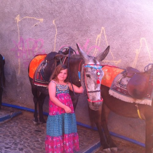 freddiemydog's profile picture. 