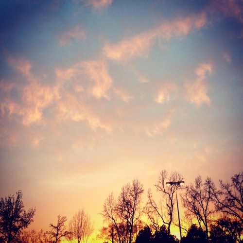 iOSAppleTech's profile picture. Design. Code. Craft.