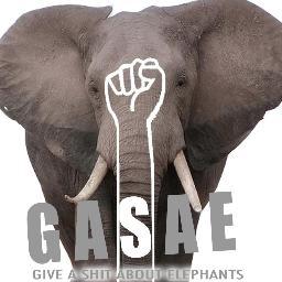 30,000+ elephants are killed for ivory each year. China is *the* primary market. Shut down ivory carving factories in China! http://t.co/ginduzup8d GASAE!