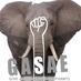Dig Elephants GASAE! (@digelliesgasae) Twitter profile photo Dig Elephants GASAE! (@digelliesgasae) Twitter profile photo