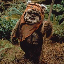 RandomEwok's profile picture. 