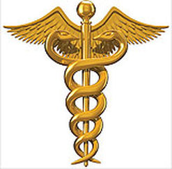 The practice of medicine is an art, not a trade; a calling, not a business; a calling in which your heart will be exercised equally with your head.. W. Osler