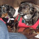 Kay Moser - @KMoser222 - Twitter