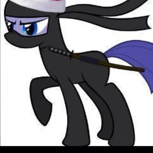 Ninja pony  lives  outside of ponyville   RP may just *smoke bomb in on you *