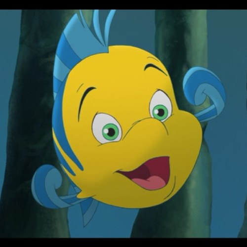 Im a fish bitch!
