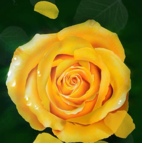 agronual's profile picture. 