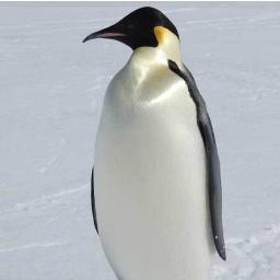 Linux System admin in North West England.  Specialties include IP routing, Netfilter, Virtualisation, Gentoo