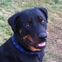 Dave Malys - @daholken - Twitter