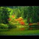 hanoo ALsubail (@050_hanoo) Twitter