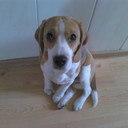 Mateusz Klich - @KlichMateusz - Twitter