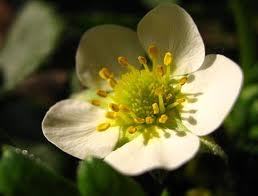 ud3etor's profile picture. 話題豊富で、雑学とかいっぱい知ってるとか尊敬できるって言われたい(^ω^)