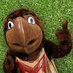 Testudo Terrapin (@testudoumd) Twitter profile photo