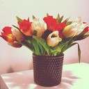 Al Jamison - @AlJamison594 - Twitter