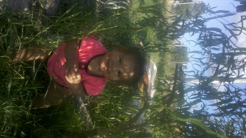 LhMaga's profile picture. 