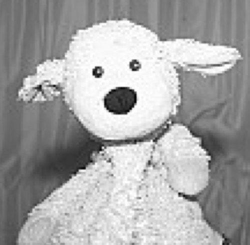 MandersRun's profile picture. 2 lives- 1 you're given and 1 you make!