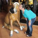 Meredith Wright - @swimlbi - Twitter