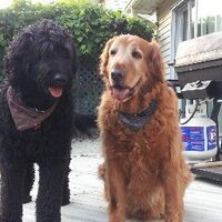 Suzanne Lepage (@suzannelepage1) 's Twitter Profile