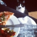 Rene Gary - @ReneGary638 - Twitter