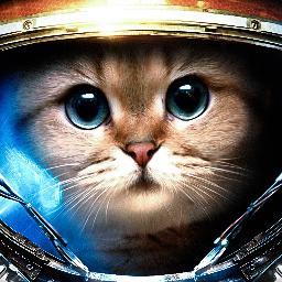 TheWorldsFake's profile picture. 